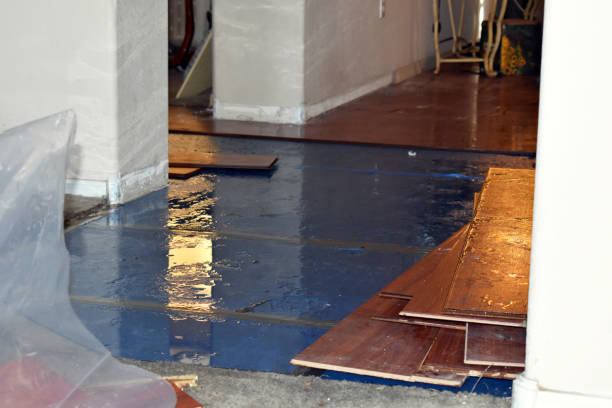 Professional Water Damage Repair technician working in Pascoag, RI